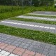 Ecoraster