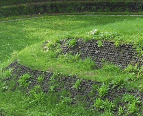 ECORASTER IN ROMANA 2
