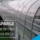 campanie policarbonat compact 2017 iunie