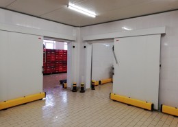 Usi sectionale industriale, usi automate, usi rapide industriale, Fabrica de mezeluri Diana